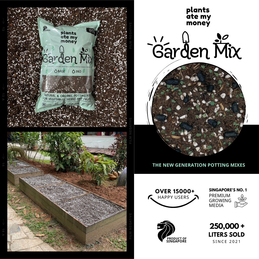 PAMM [ADVANCED HERBS & VEGGIES MIX] 5L Garden Mix - Potting Mix for Vegetables, Herbs and Fruits