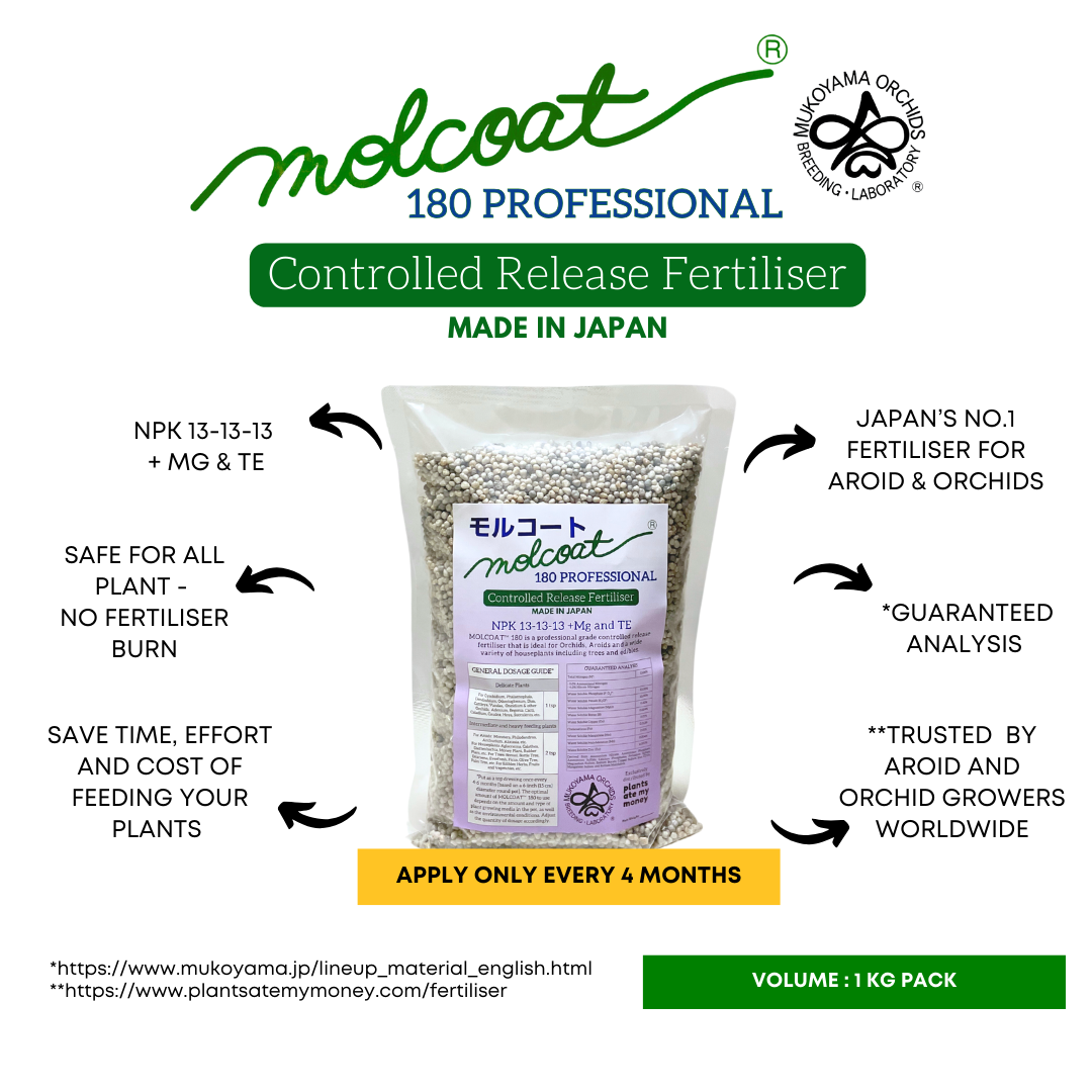 PAMM [ADVANCED AROID MIX] Forest Mix 5L OR TRIO Pack - Ultra Premium Potting Mix for Aroids and Houseplants