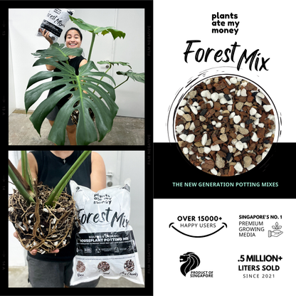 PAMM [ADVANCED AROID MIX] Forest Mix 5L OR TRIO Pack - Ultra Premium Potting Mix for Aroids and Houseplants