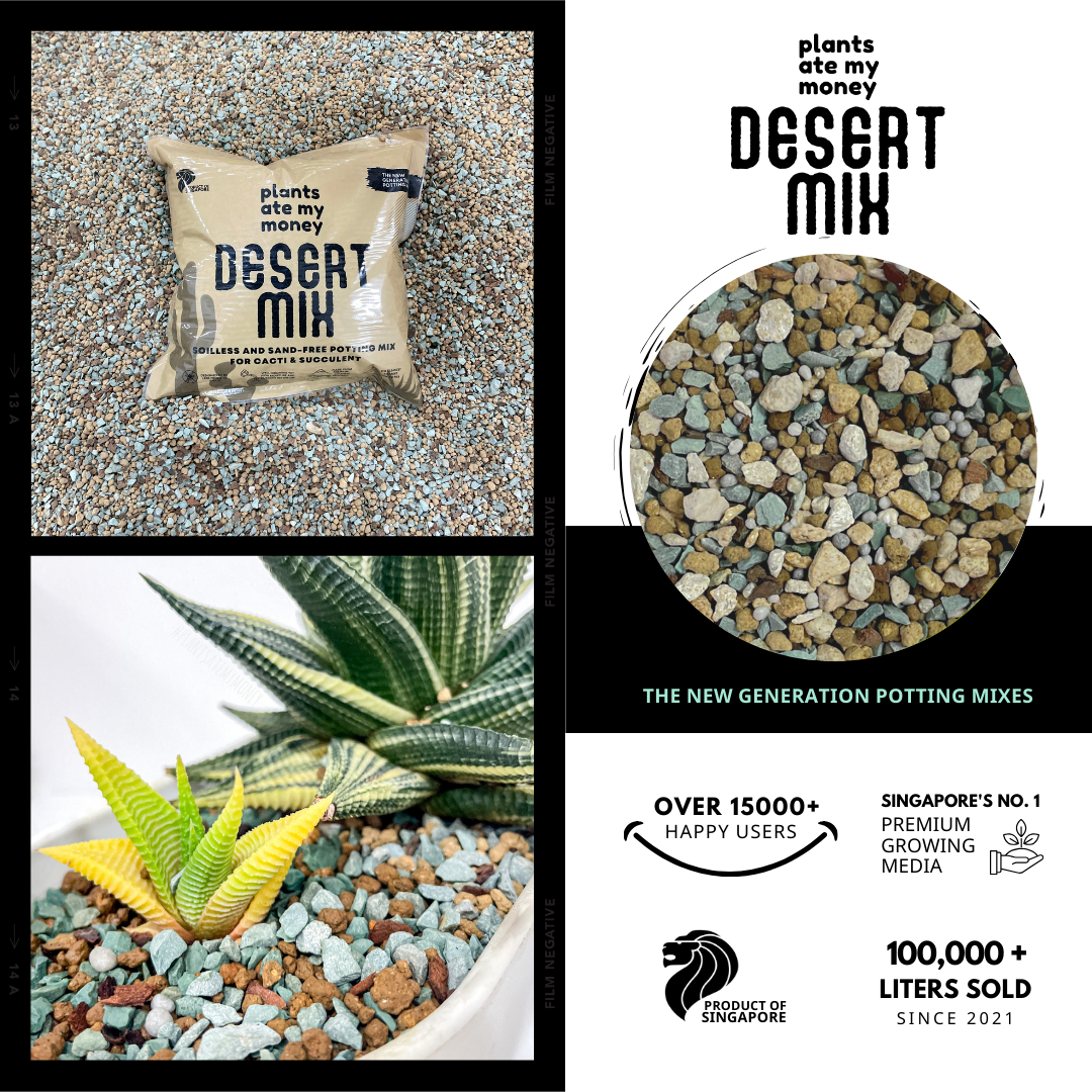 PAMM [ADVANCED CACTI & SUCCULENT AND ADENIUM MIX] Desert Mix - Potting Mix for Cacti & Succulents and Adenium