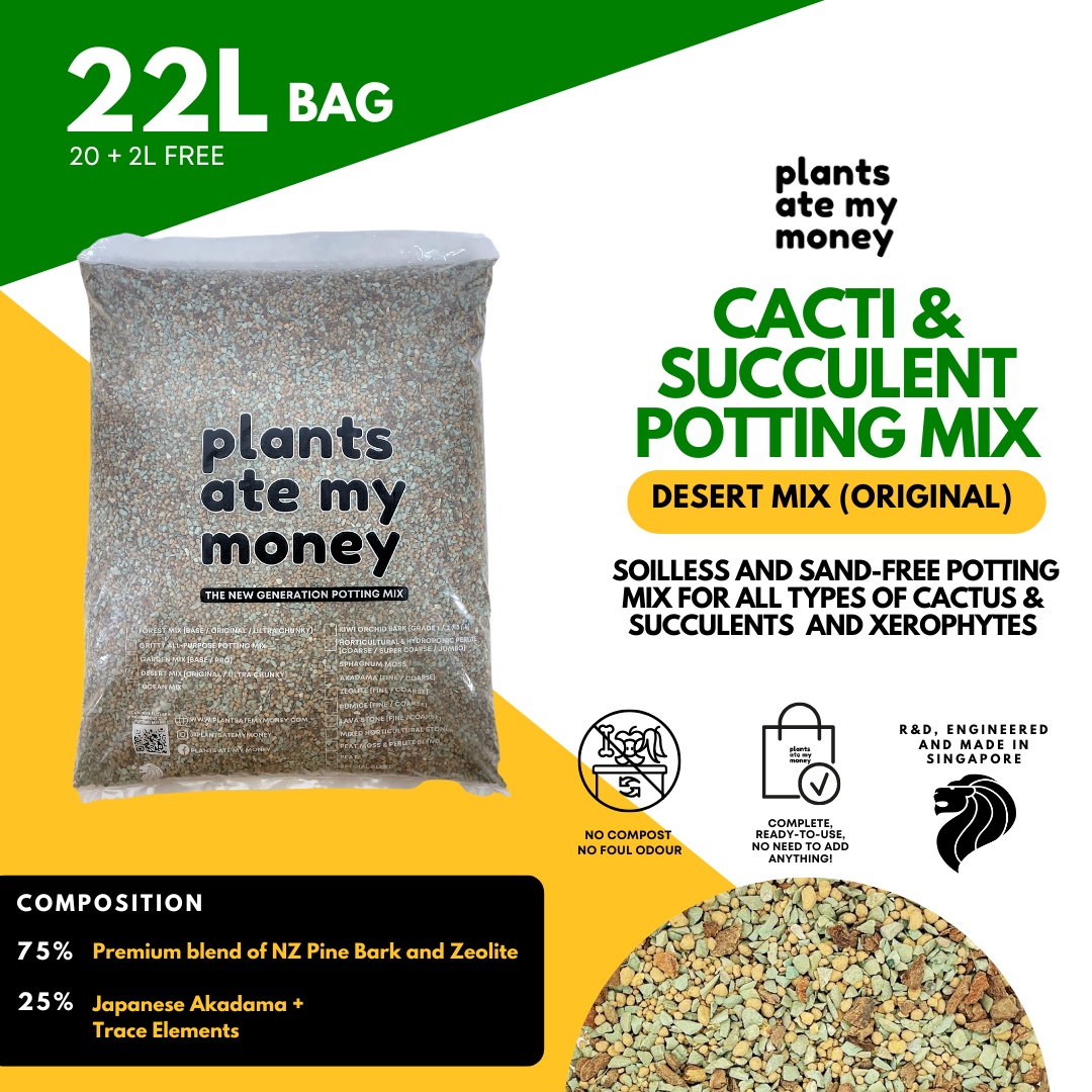 PAMM [ADVANCED CACTI & SUCCULENT AND ADENIUM MIX] Desert Mix - Potting Mix for Cacti & Succulents and Adenium
