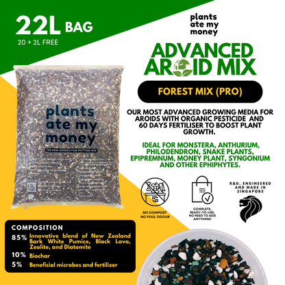 PAMM [ADVANCED AROID MIX] Forest Mix 5L OR TRIO Pack - Ultra Premium Potting Mix for Aroids and Houseplants
