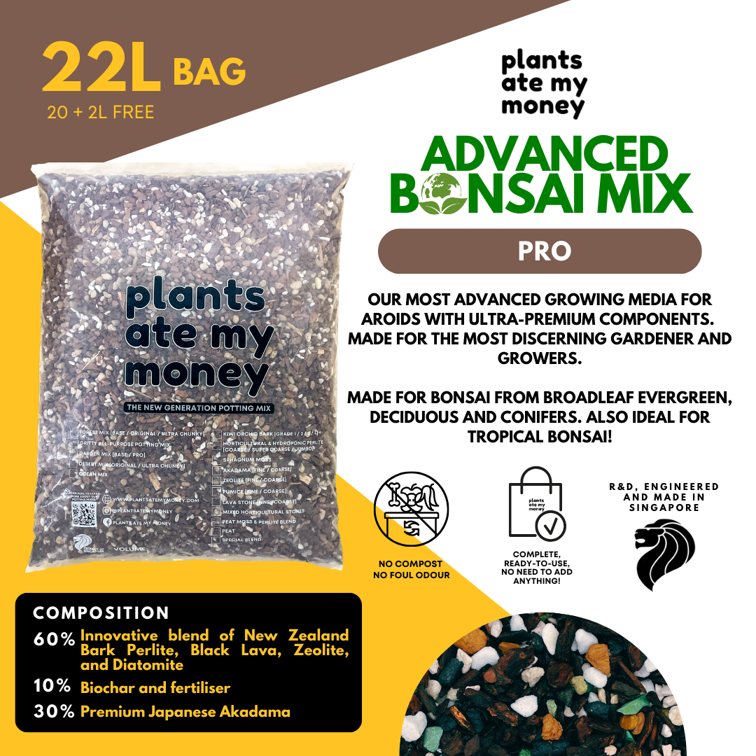 PAMM [ADVANCED BONSAI MIX] 2L Premium Growing Media for Bonsai, Japanese Pine, Conifers, Maple & Tropical Bonsai