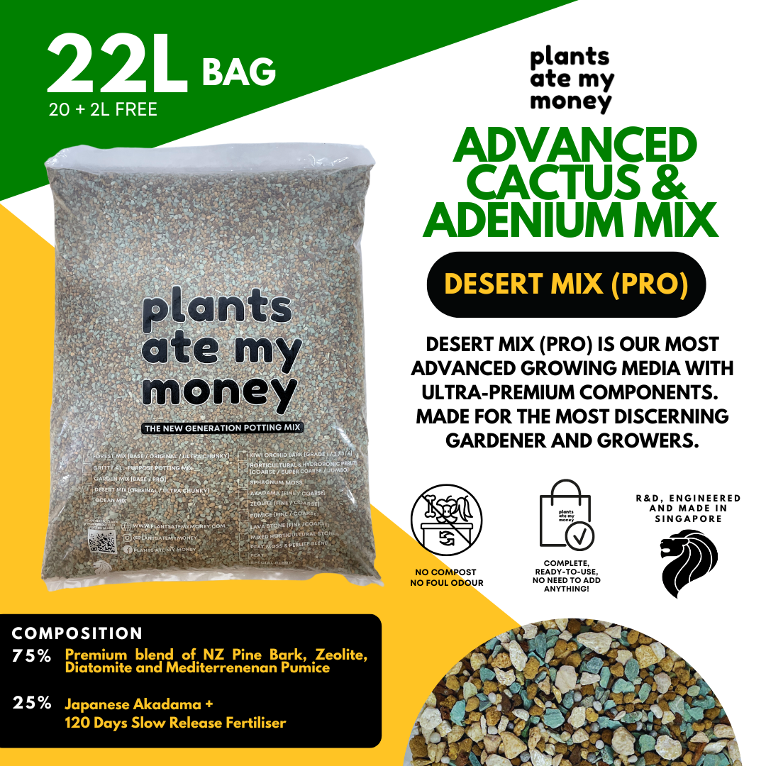 PAMM [ADVANCED CACTI & SUCCULENT AND ADENIUM MIX] Desert Mix - Potting Mix for Cacti & Succulents and Adenium