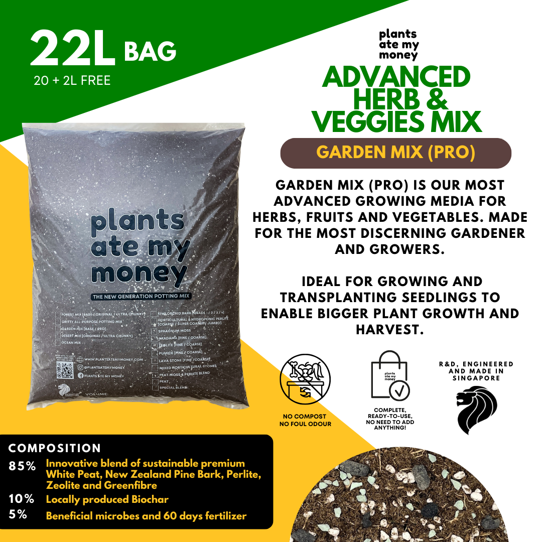 PAMM [ADVANCED HERBS & VEGGIES MIX] 5L Garden Mix - Potting Mix for Vegetables, Herbs and Fruits