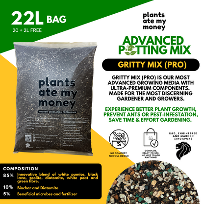 PAMM [ADVANCED POTTING MIX] Gritty Mix 5L or 22L Original or PRO Potting Mix for Trees, Foliage & Flowering Plants