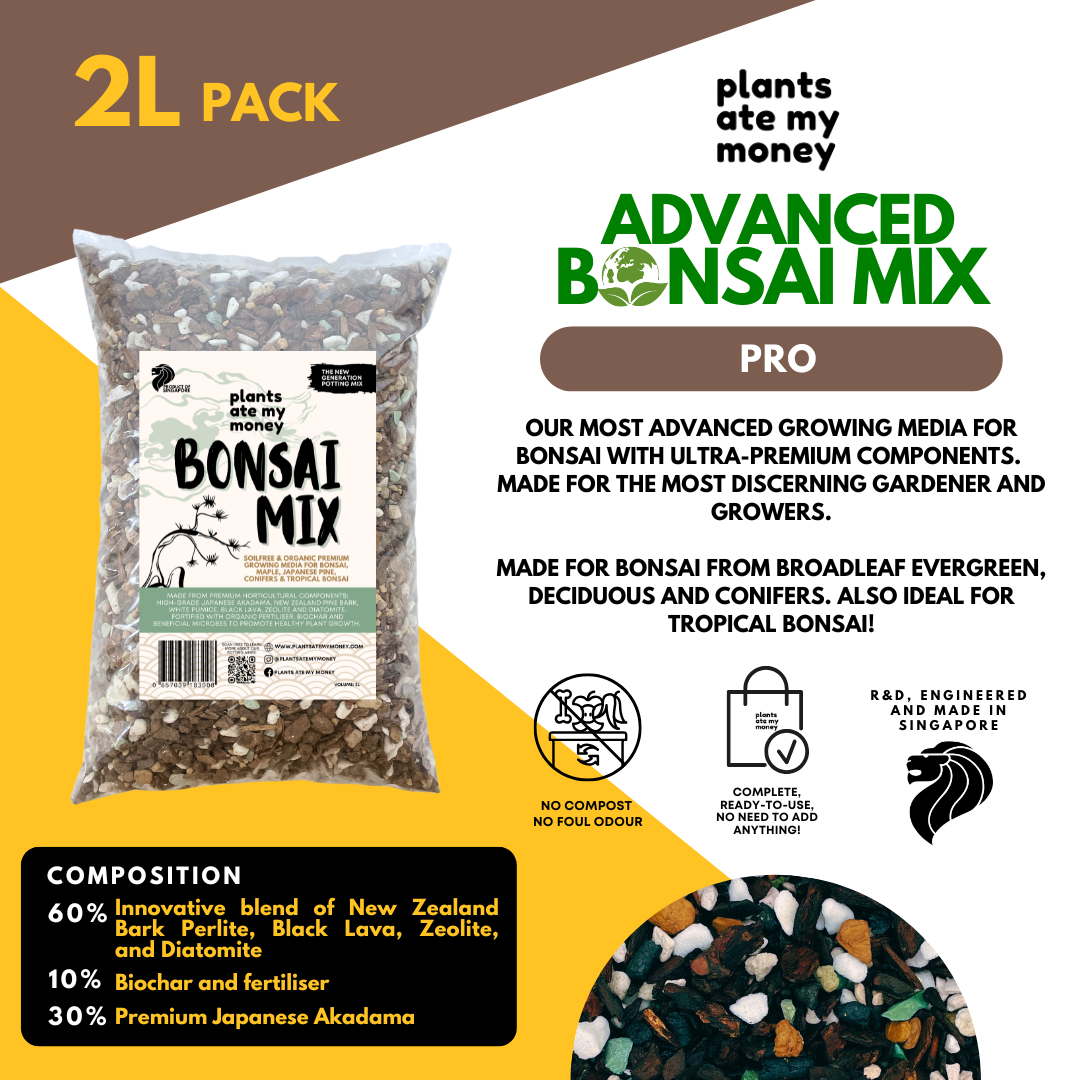 PAMM [ADVANCED BONSAI MIX] 2L Premium Growing Media for Bonsai, Japanese Pine, Conifers, Maple & Tropical Bonsai
