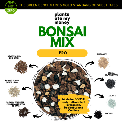 PAMM [ADVANCED BONSAI MIX] 2L Premium Growing Media for Bonsai, Japanese Pine, Conifers, Maple & Tropical Bonsai