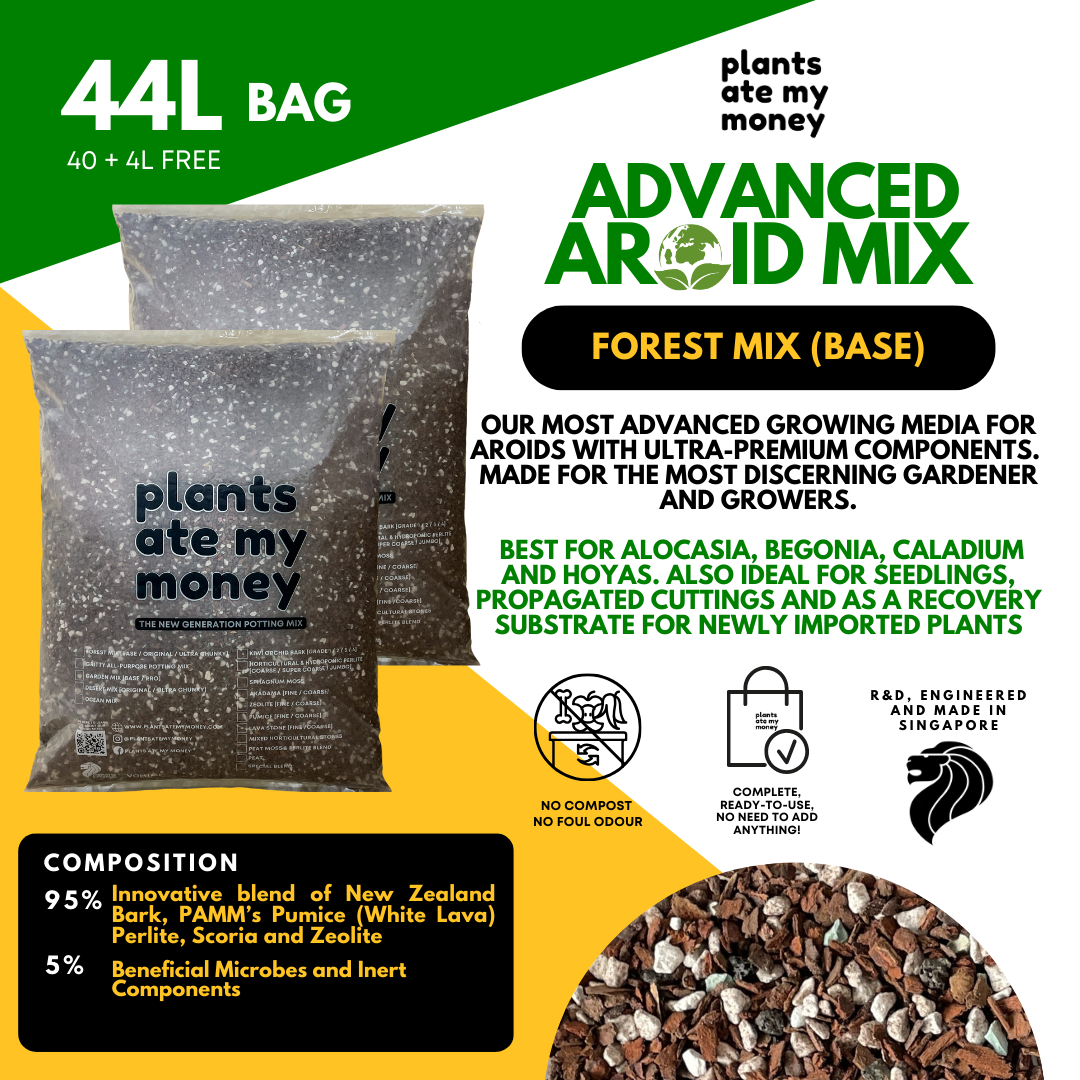 PAMM [ADVANCED AROID MIX] Forest Mix 5L OR TRIO Pack - Ultra Premium Potting Mix for Aroids and Houseplants