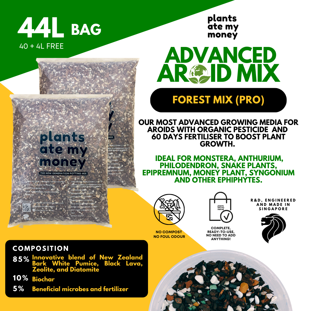 PAMM [ADVANCED AROID MIX] Forest Mix 5L OR TRIO Pack - Ultra Premium Potting Mix for Aroids and Houseplants