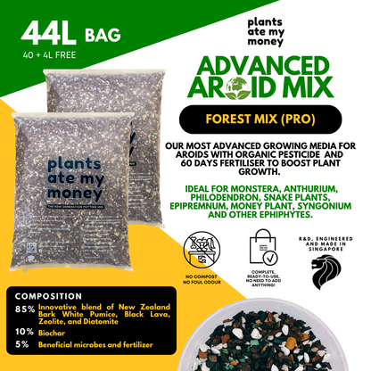 PAMM [ADVANCED AROID MIX] Forest Mix 5L OR TRIO Pack - Ultra Premium Potting Mix for Aroids and Houseplants