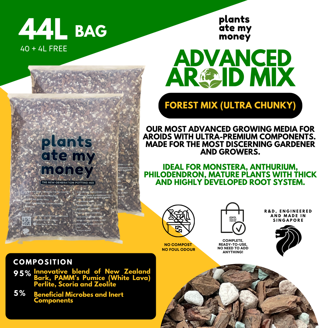 PAMM [ADVANCED AROID MIX] Forest Mix 5L OR TRIO Pack - Ultra Premium Potting Mix for Aroids and Houseplants