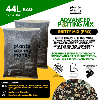 PAMM [ADVANCED POTTING MIX] Gritty Mix 5L or 22L Original or PRO Potting Mix for Trees, Foliage & Flowering Plants