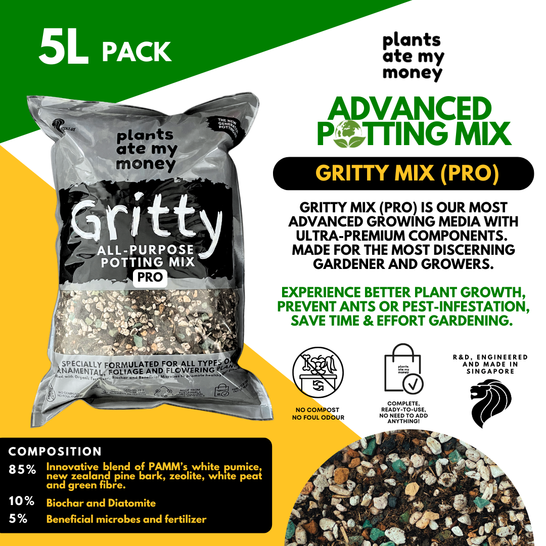 PAMM [ADVANCED POTTING MIX] Gritty Mix 5L or 22L Original or PRO Potting Mix for Trees, Foliage & Flowering Plants