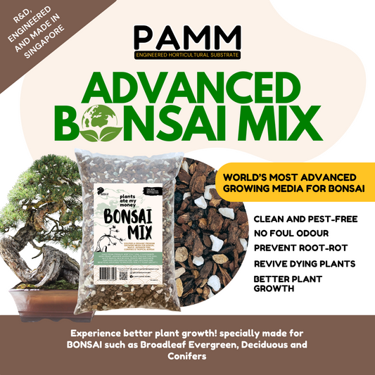 PAMM [ADVANCED BONSAI MIX] 2L Premium Growing Media for Bonsai, Japanese Pine, Conifers, Maple & Tropical Bonsai