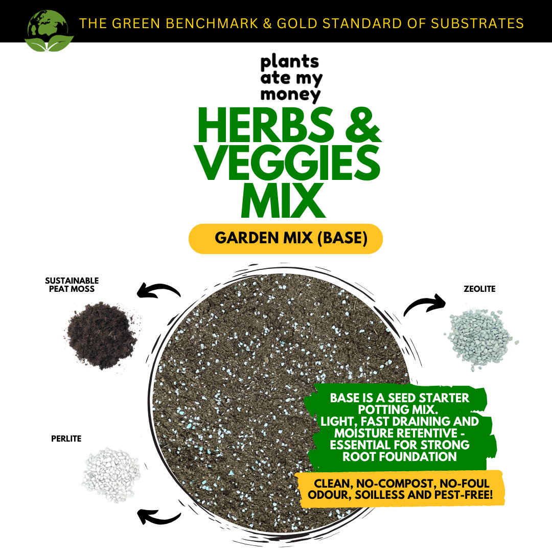 PAMM [ADVANCED HERBS & VEGGIES MIX] 5L Garden Mix - Potting Mix for Vegetables, Herbs and Fruits