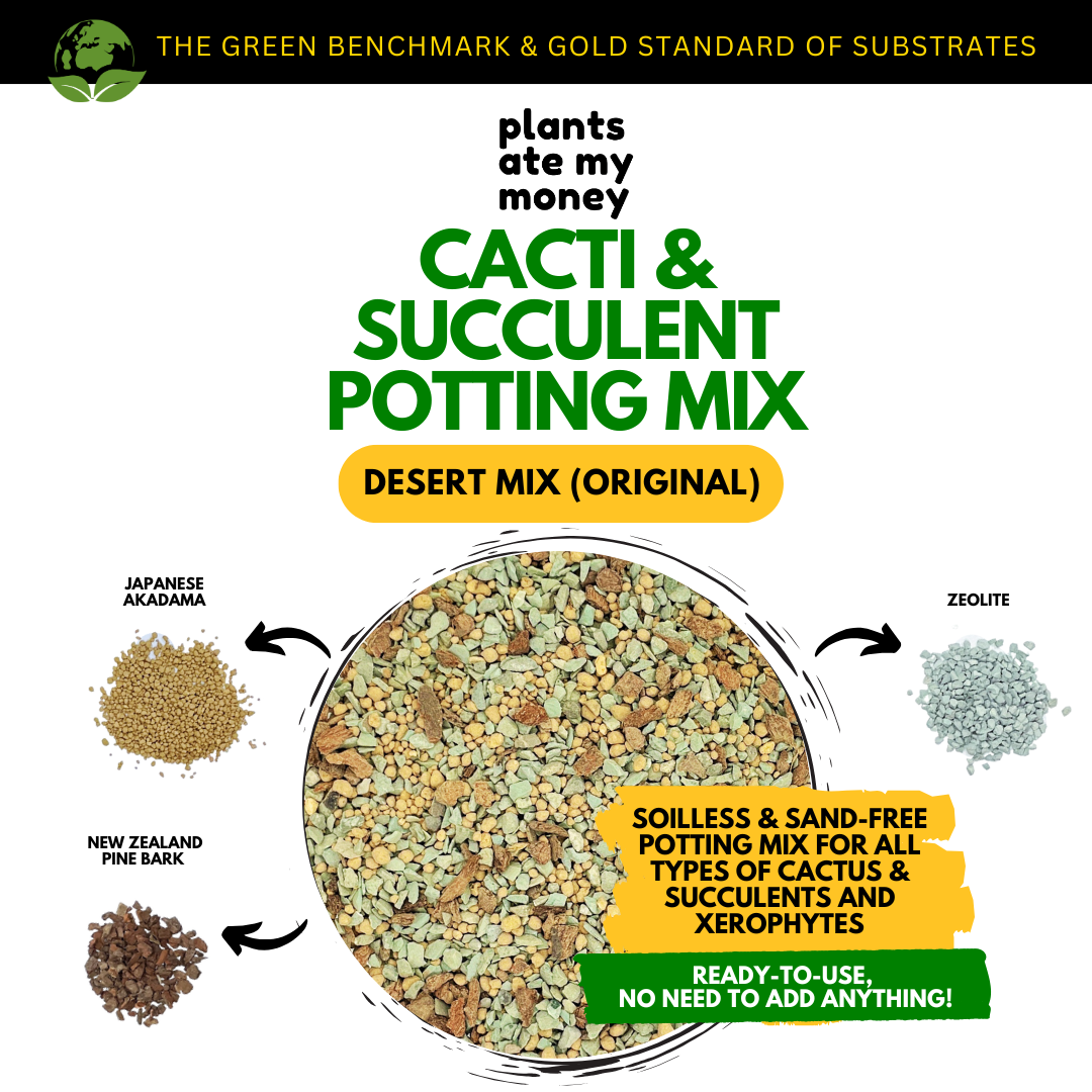 PAMM [ADVANCED CACTI & SUCCULENT AND ADENIUM MIX] Desert Mix - Potting Mix for Cacti & Succulents and Adenium