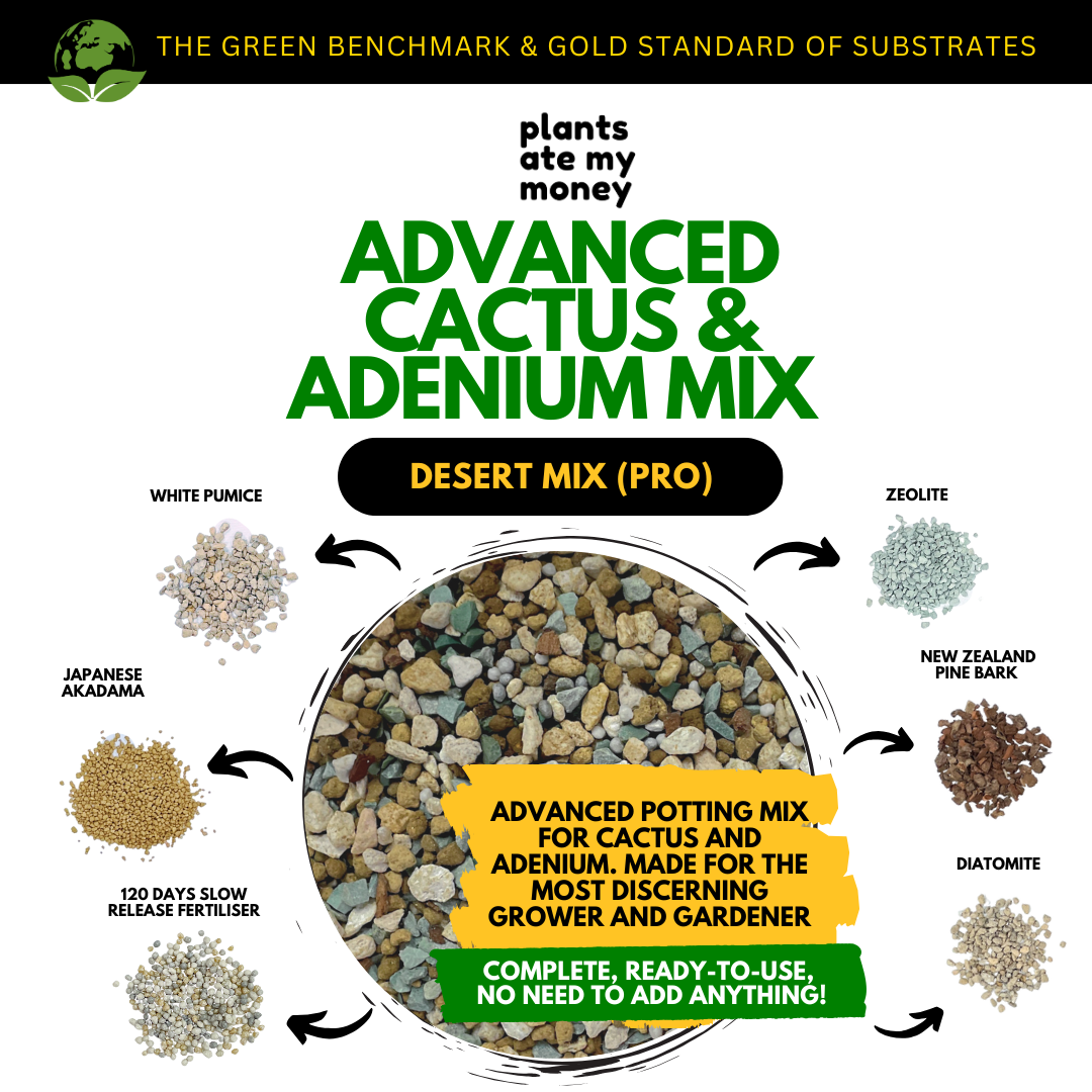 PAMM [ADVANCED CACTI & SUCCULENT AND ADENIUM MIX] Desert Mix - Potting Mix for Cacti & Succulents and Adenium
