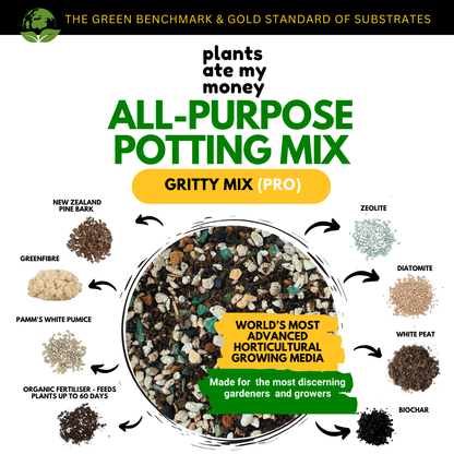 PAMM [ADVANCED POTTING MIX] Gritty Mix 5L or 22L Original or PRO Potting Mix for Trees, Foliage & Flowering Plants