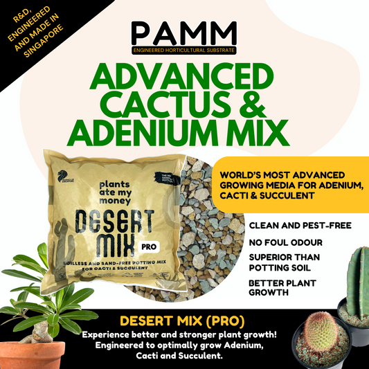 PAMM [ADVANCED CACTI & SUCCULENT AND ADENIUM MIX] Desert Mix - Potting Mix for Cacti & Succulents and Adenium