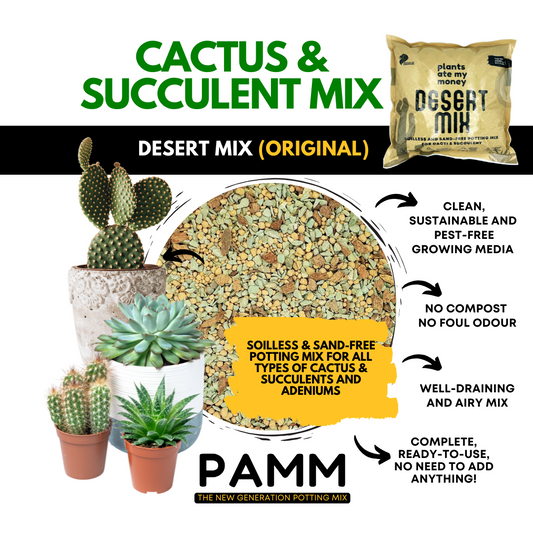 PAMM [ADVANCED CACTI & SUCCULENT AND ADENIUM MIX] Desert Mix - Potting Mix for Cacti & Succulents and Adenium