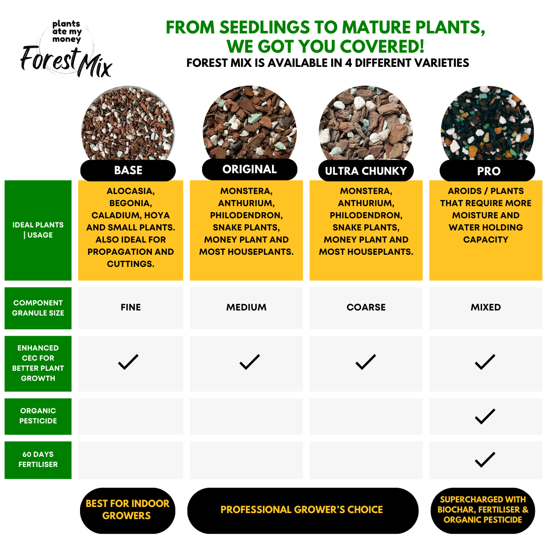 PAMM [ADVANCED AROID MIX] Forest Mix 5L OR TRIO Pack - Ultra Premium Potting Mix for Aroids and Houseplants