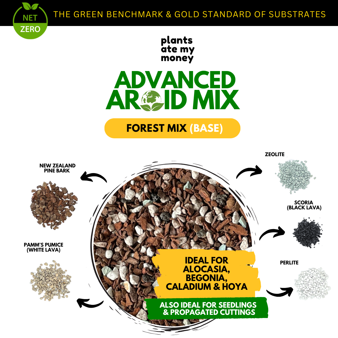 PAMM [ADVANCED AROID MIX] Forest Mix 5L OR TRIO Pack - Ultra Premium Potting Mix for Aroids and Houseplants