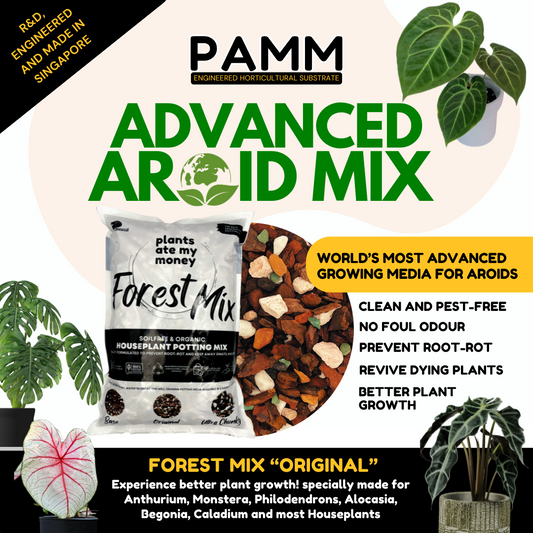 PAMM [ADVANCED AROID MIX] Forest Mix 5L OR TRIO Pack - Ultra Premium Potting Mix for Aroids and Houseplants