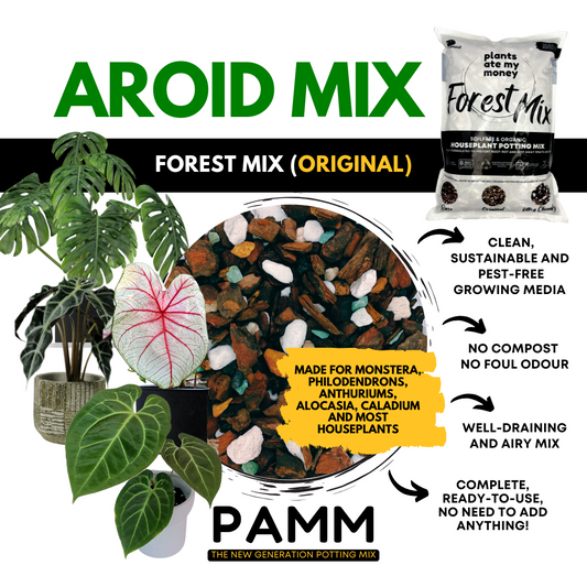PAMM [ADVANCED AROID MIX] Forest Mix 5L OR TRIO Pack - Ultra Premium Potting Mix for Aroids and Houseplants