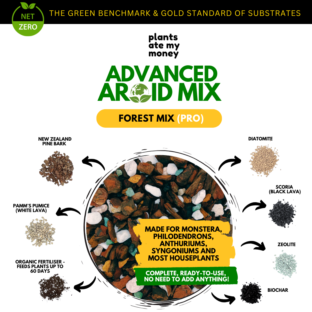 PAMM [ADVANCED AROID MIX] Forest Mix 5L OR TRIO Pack - Ultra Premium Potting Mix for Aroids and Houseplants