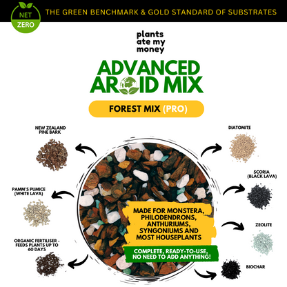 PAMM [ADVANCED AROID MIX] Forest Mix 5L OR TRIO Pack - Ultra Premium Potting Mix for Aroids and Houseplants