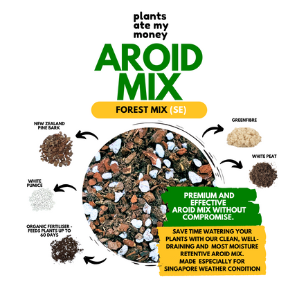 PAMM [ADVANCED AROID MIX] Forest Mix 5L OR TRIO Pack - Ultra Premium Potting Mix for Aroids and Houseplants