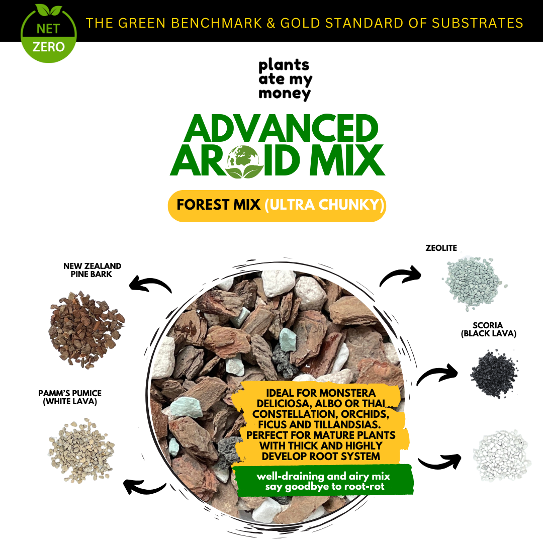 PAMM [ADVANCED AROID MIX] Forest Mix 5L OR TRIO Pack - Ultra Premium Potting Mix for Aroids and Houseplants