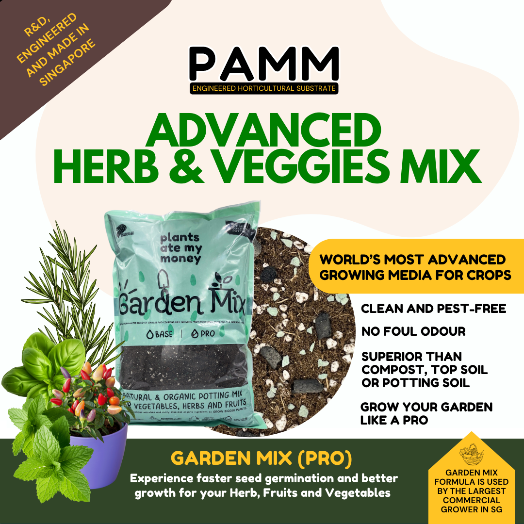 PAMM [ADVANCED HERBS & VEGGIES MIX] 5L Garden Mix - Potting Mix for Vegetables, Herbs and Fruits