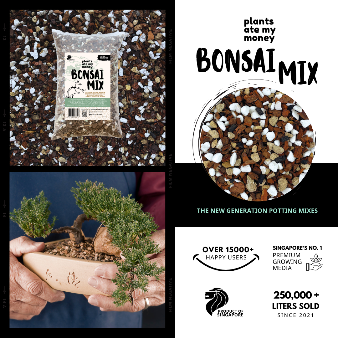 PAMM [ADVANCED BONSAI MIX] 2L Premium Growing Media for Bonsai, Japanese Pine, Conifers, Maple & Tropical Bonsai
