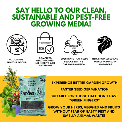 PAMM [ADVANCED HERBS & VEGGIES MIX] 5L Garden Mix - Potting Mix for Vegetables, Herbs and Fruits