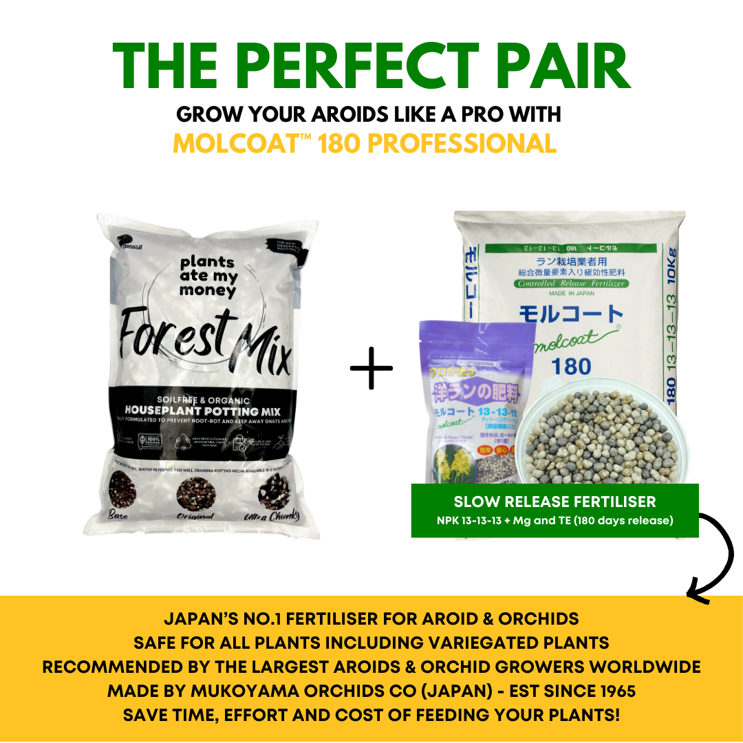PAMM [ADVANCED AROID MIX] Forest Mix 5L OR TRIO Pack - Ultra Premium Potting Mix for Aroids and Houseplants