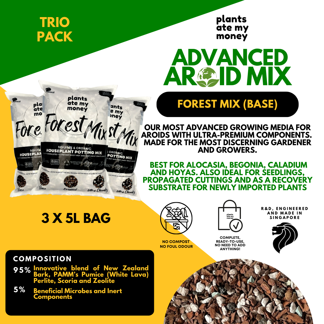 PAMM [ADVANCED AROID MIX] Forest Mix 5L OR TRIO Pack - Ultra Premium Potting Mix for Aroids and Houseplants