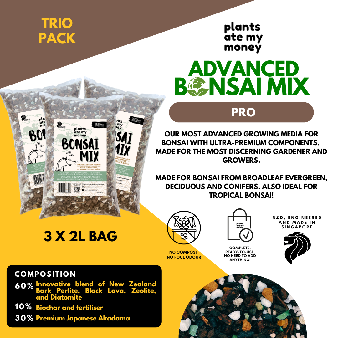 PAMM [ADVANCED BONSAI MIX] 2L Premium Growing Media for Bonsai, Japanese Pine, Conifers, Maple & Tropical Bonsai