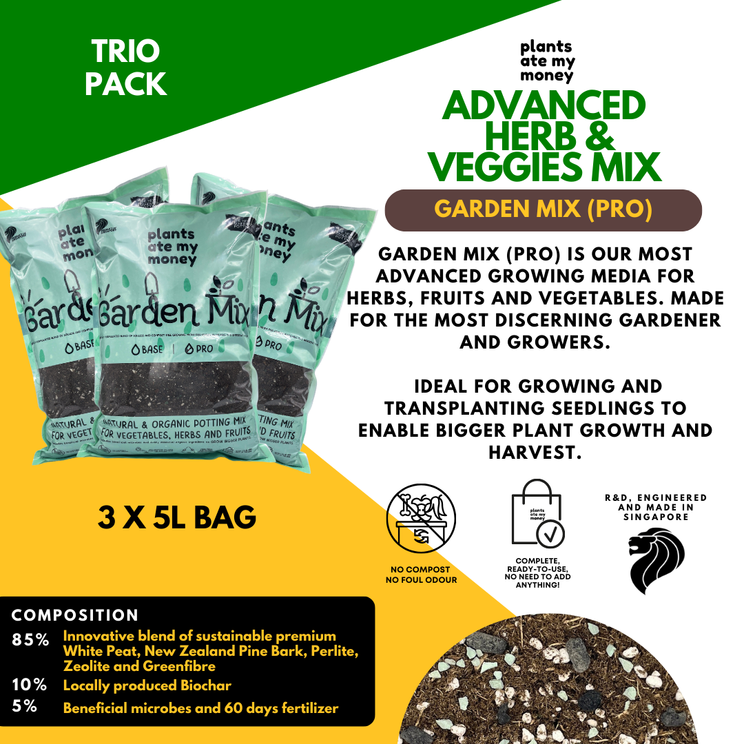 PAMM [ADVANCED HERBS & VEGGIES MIX] 5L Garden Mix - Potting Mix for Vegetables, Herbs and Fruits