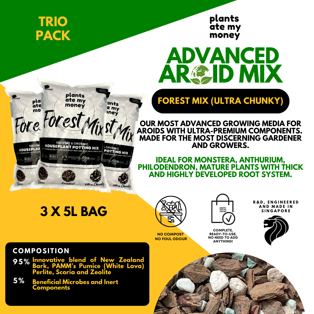 PAMM [ADVANCED AROID MIX] Forest Mix 5L OR TRIO Pack - Ultra Premium Potting Mix for Aroids and Houseplants