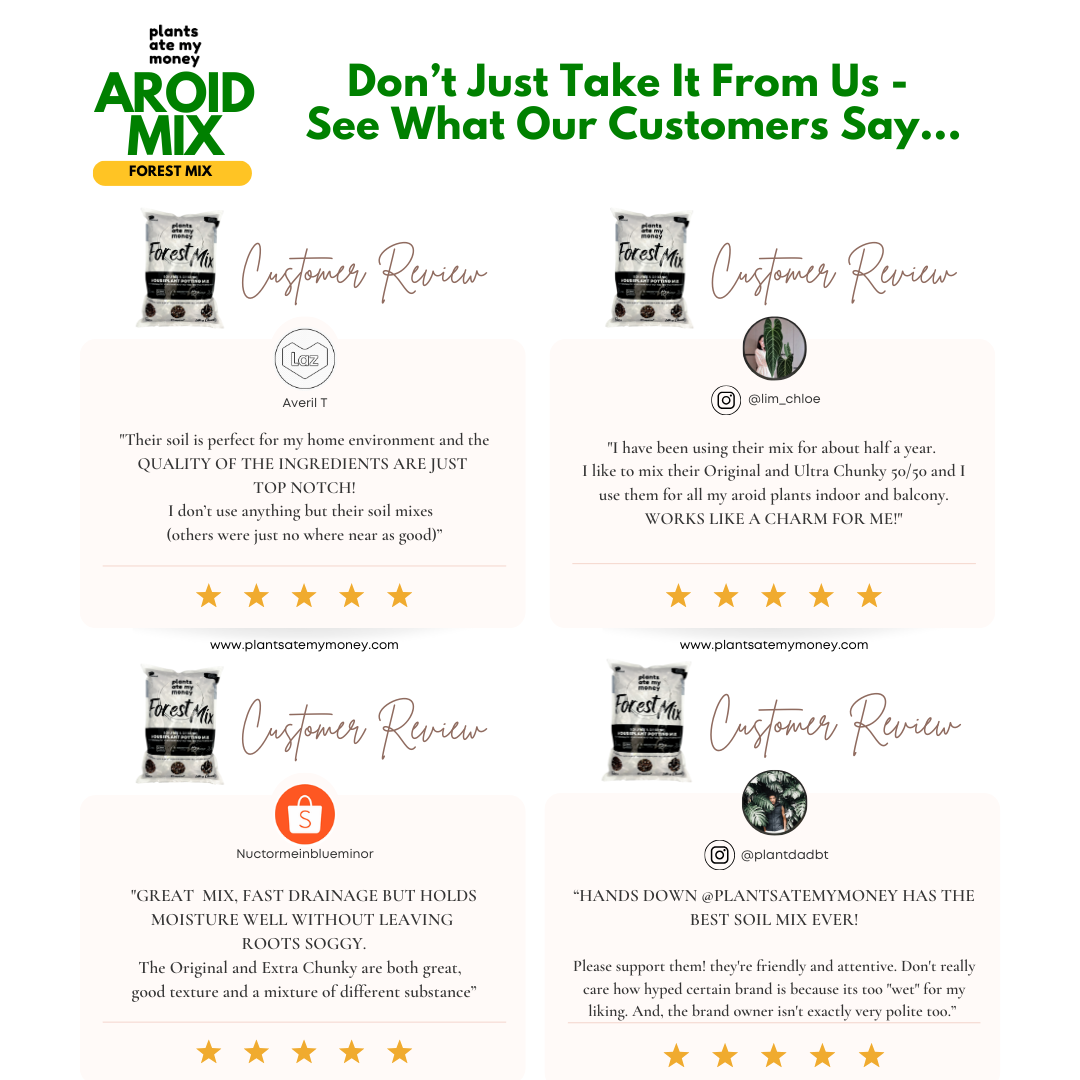 PAMM [ADVANCED AROID MIX] Forest Mix 5L OR TRIO Pack - Ultra Premium Potting Mix for Aroids and Houseplants